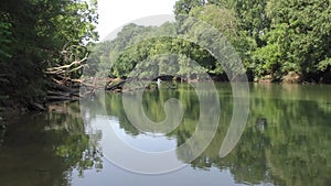 Georgia, Abbotts Bridge Park, A pan across the Chattahoochee River with trees and reflections