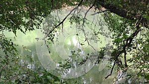 Georgia, Abbotts Bridge Park, A pan across the green water of the Chattahoochee River through trees