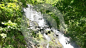 Georgia, Amicalola Falls, Summer, A wide view of the Amicalola Falls through the trees