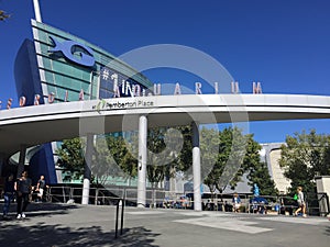 Georgia Aquarium