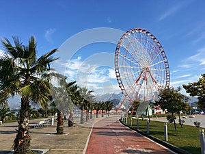 Georgia, Batumi street photography. Travel destination