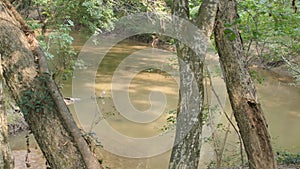 Georgia Hurricane Shoals Park  A pan right to left across the North Oconee River between trees