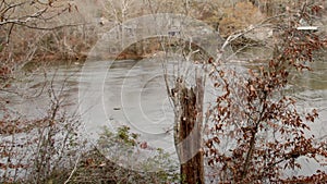 Georgia Island Ford Park 6K Zoom in on a flowing Chattahoochee River through the trees