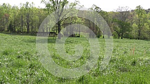 Georgia, Lumpkin County, A pan of a bright green pasture on a farm outside of Dahlonega