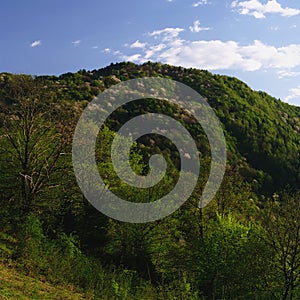 Georgia mountains in summer time