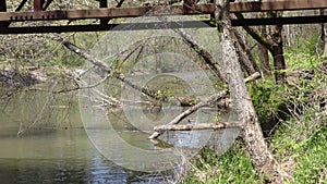 Georgia, Olde Rope Mill Rd Park, Broken and dead trees hanging over into Little River