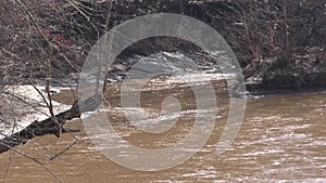 Georgia, Olde Rope Mill Rd Park, a close view of upstream little river`s fork