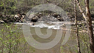 Georgia, Olde Rope Mill Rd Park, Looking at the back side of the rapids on the Little River