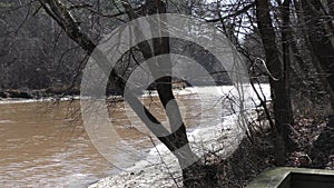 Georgia, Olde Rope Mill Rd Park, a view downstream of the little river through trees