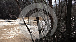 Georgia, Olde Rope Mill Rd Park, Viewing Little River rapids through trees