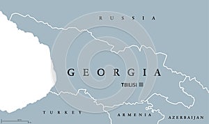 Georgia political map