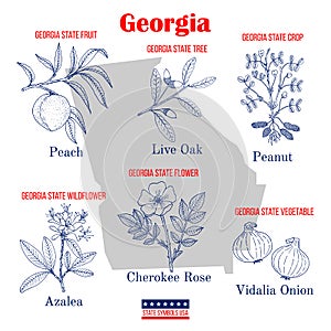 Georgia. Set of USA official state symbols