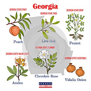 Georgia. Set of USA official state symbols