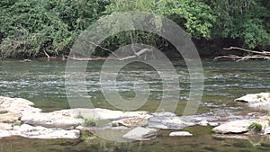 Georgia, Settles Bridge Park, A pan across rocks and flowing water on the Chattahoochee River