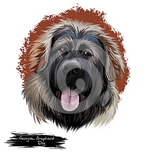 Georgian Shepherd Dog breed digital art illustration isolated on white. Popular puppy portrait with text. Cute pet hand