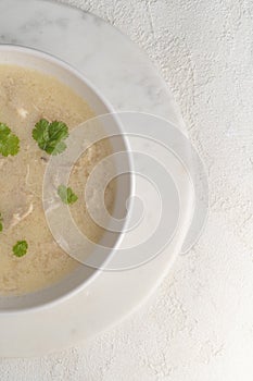 Georgian traditional chicken soup Chikhirtma in the white plate