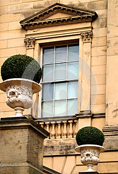 Georgian Window