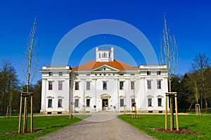 Georgium palace dessau