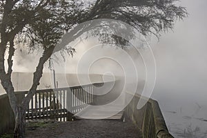 Mysterious walkway through steaming thermal lake, Rotorua, New Zealand