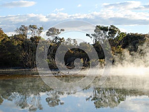 Geothermal Activity in Kuirau Park, New Zealand