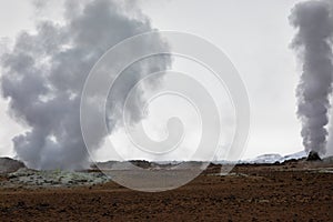 Geothermal activity in Myvatn in Iceland