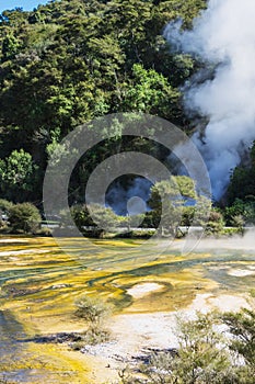 Geothermal activity at Waimangu Volcanic Valley