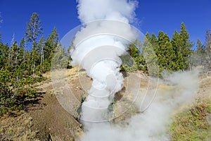 Geothermal activity at Yellowstone National Park, Wyoming