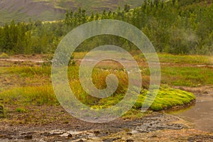 Geothermal area in the Haukadalur Valley, Iceland