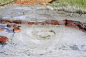 Geothermal area Hveravellir