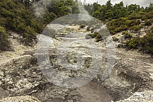 Geothermal feature call the Mud Pools at War-O-Tapu Geothermal Wonderland near Rotorua, New Zealand.