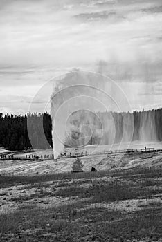 Geothermal feature at old faithful area at Yellowstone National Park (USA