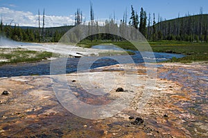 Geothermal Features of Yellowstone National Park