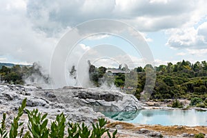 Geothermal field with Geyser at Whakarewarewa village, New Zealand