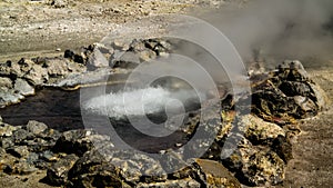 Geothermal fields near Furnas lake, Sao Miguel, Azores, portugal