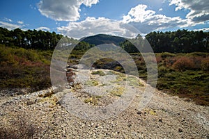 Geothermal ground with Sulfur in green area New-Zealand