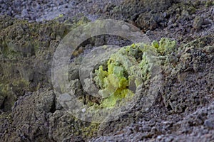 Geothermal ground with Sulfur in green area New-Zealand