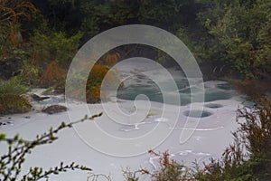 Geothermal Hot Spring with steam rising