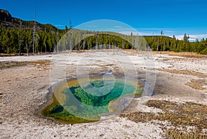 Geothermal hot springs in Yellowstone National Park