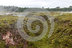 Geothermal landscape, Taupo, New Zealand