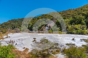 Geothermal landscape of Waimangu volcanic valley, New Zealand