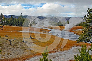 Geothermal landscape in Yellowstone National Park