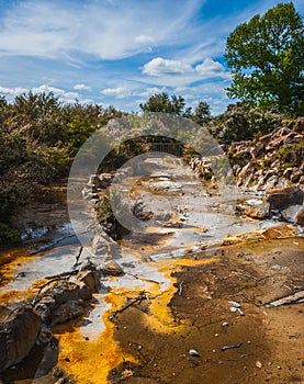 Geothermal mud pool, New Zealand