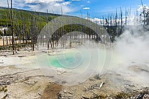 Geothermal pool in Yellowstone national park