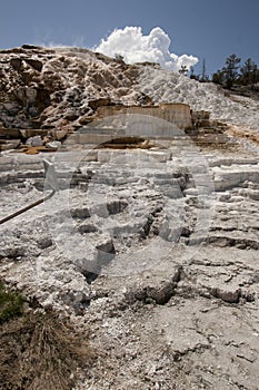 Geothermal Terrain in Yellowstone