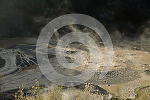 geothermal volcanic park with geysers and hot streams, scenic landscape, te piua national park, rotorua, new zealand