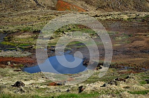 Geothermally Active Landscape in Hveragerdi Landscape