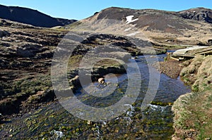 Geothermally Heated Stream in a Valley in Hveragerdi