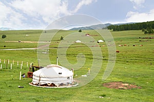 The ger camp in a large meadow at Ulaanbaatar , Mongolia