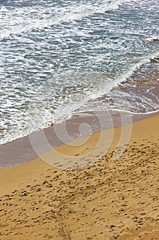 Gerakas beach sea turtle nesting site photo