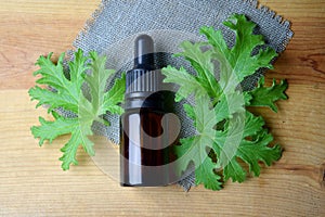 Geranium essential oil Aromatherapy anti mosquito